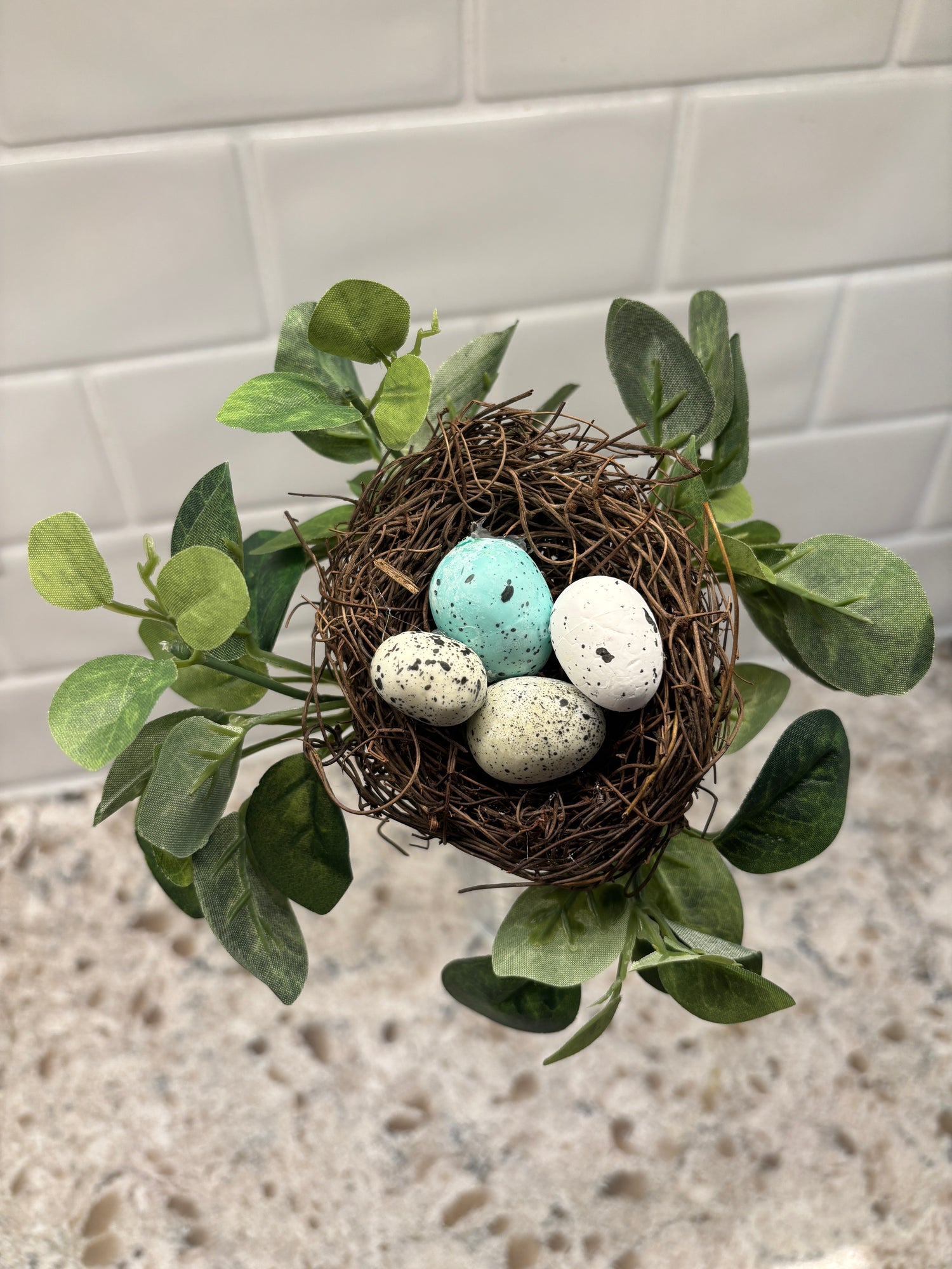 Bird's Nest Plant Pick