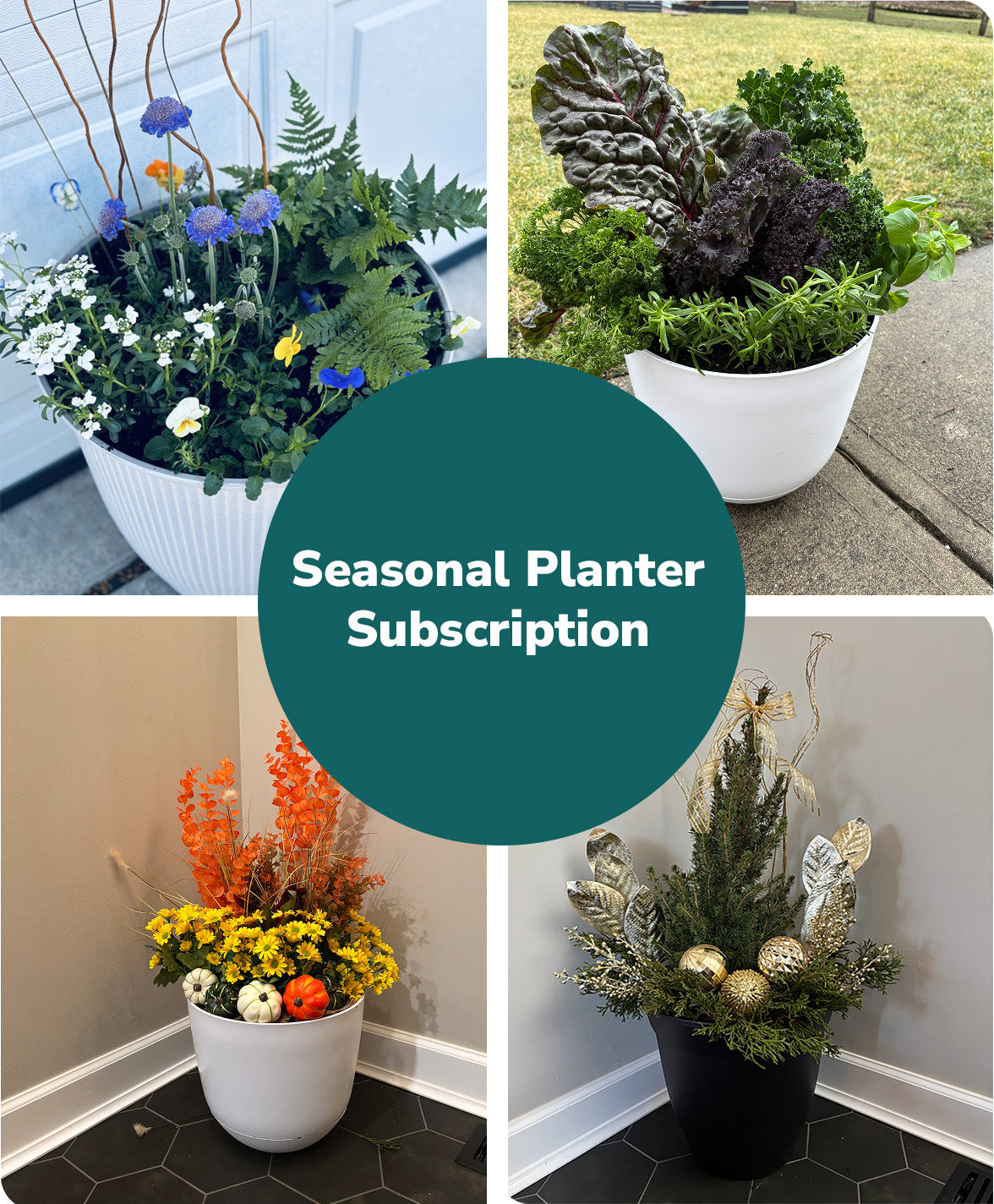 Seasonal Planter Subscription
